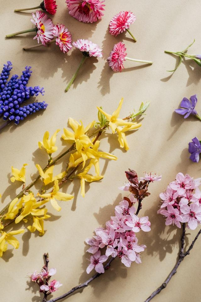 Sweet scents - COR